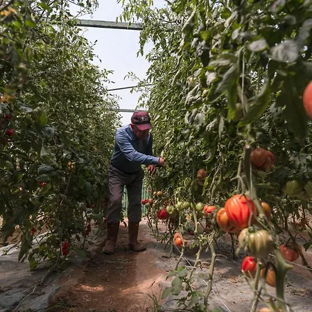 Cala Cala Rooms,restaurant & Farm Experience פרוסידה
