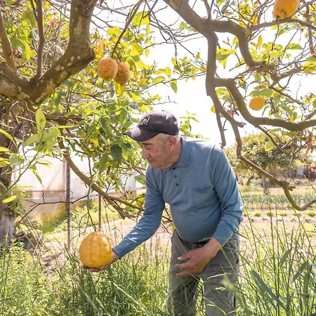 Cala Cala Rooms,restaurant & Farm Experience Gasthof *