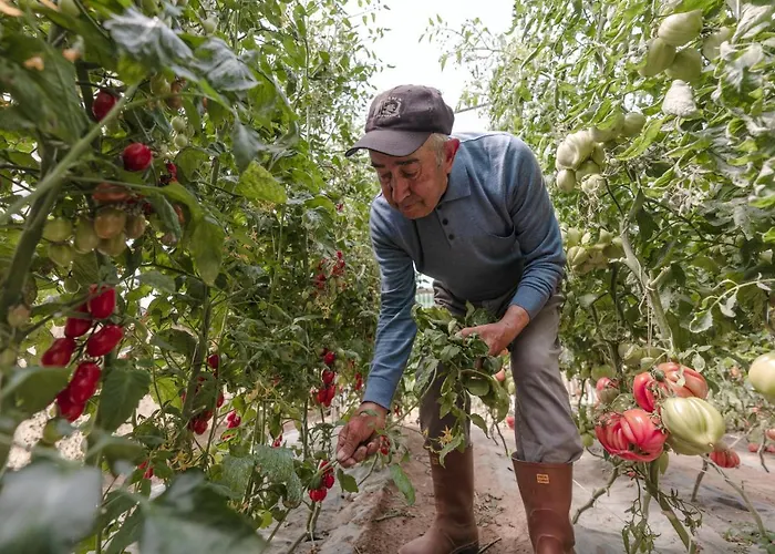 게스트하우스 Cala Cala Rooms,restaurant & Farm Experience