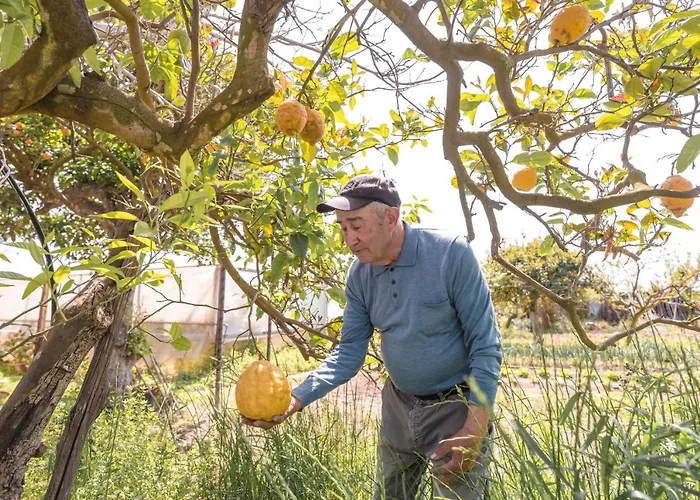 Cala Cala Rooms,restaurant & Farm Experience בית הארחה