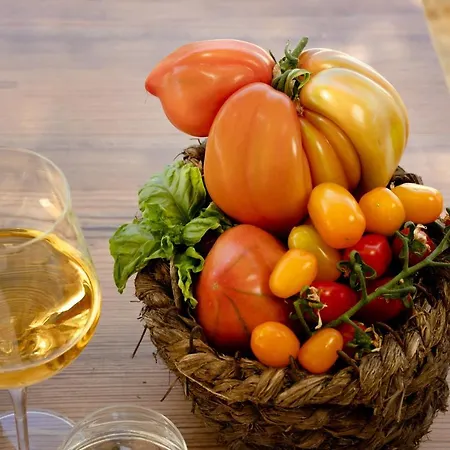 Guest house Cala Cala Rooms,restaurant & Farm Experience *